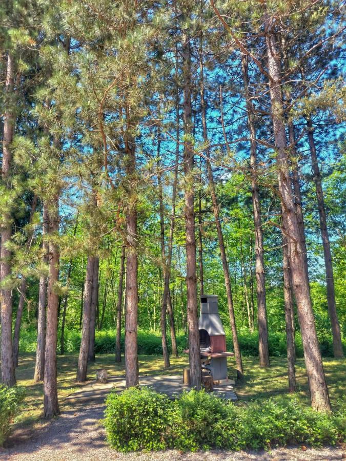 Vacation Home Keskic Velika Gata Bagian luar foto